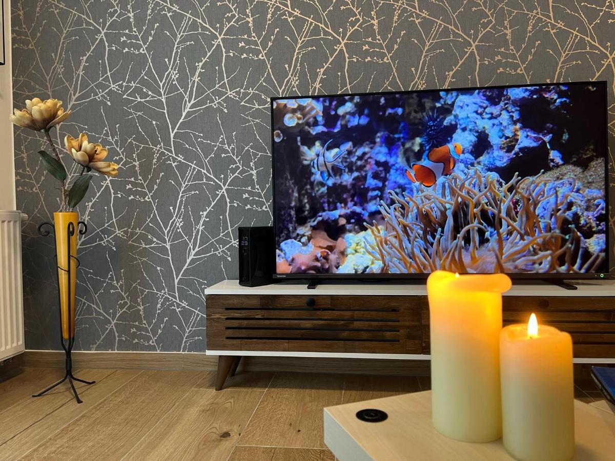 Apartmán U Pelikána Olomouc Esterno foto